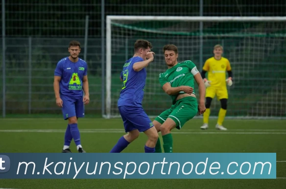 开云体育APP 体育赛事宣传图